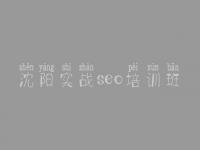沈阳实战seo培训班，网站建设哪些好