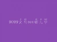 2022义乌seo哪儿学_课程_联系方式