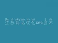 江苏网站优化seo技术 网站优化指导