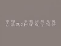赤峰seo白帽教学视频_一流白帽实操