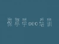 保亭学seo培训 网站优化代理商