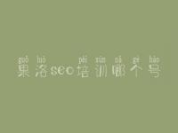 果洛seo培训哪个号，如何建设企业网站