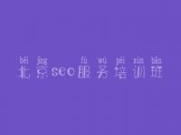 北京seo服务培训班 免费商城网站建设