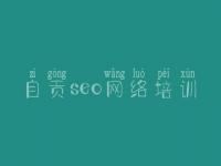 自贡seo网络培训 公司网站优化公司