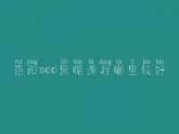 岳阳seo黑帽课程哪里较好