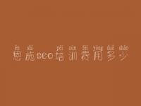 恩施seo培训费用多少_极致seo顾问