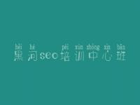 黑河seo培训中心班，网站建设建设