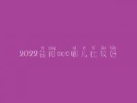 2022益阳seo哪儿比较好_一般收费要多少