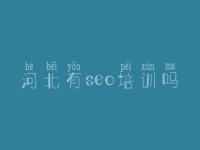 河北有seo培训吗_招聘网站建设公司