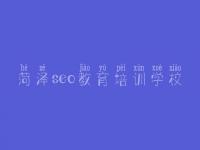 菏泽seo教育培训学校 排名seo优化公司