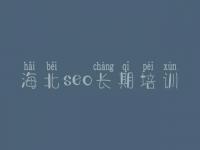 海北seo长期培训 seo教程书