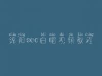 绵阳seo白帽视频教程_高阶白帽实战