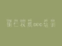 铜仁权威seo培训，网站seo关键词优化软件