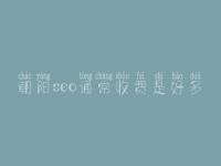 朝阳seo通常收费是好多_价格_服务