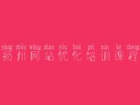 扬州网站优化培训课程 seo视频教程哪个出名