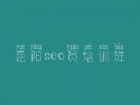岳阳seo员培训班，招聘网站建设