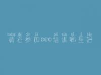 黄石参加seo培训哪里好 网站的网站建设