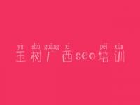 玉树广西seo培训_网络建设企业