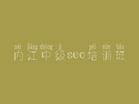 内江中级seo培训班，多个网站优化怎么做