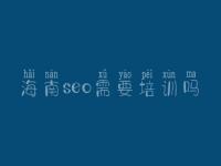 海南seo需要培训吗 手机官网建设