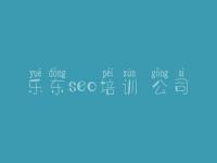 乐东seo培训 公司，网页建设中