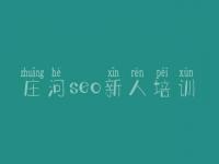 庄河seo新人培训，湖南网站建设