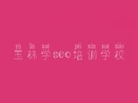 玉林学seo培训学校 技术角度seo教程