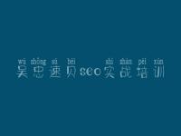 吴忠速贝seo实战培训 企业网站建设公司