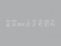 韶关seo技术有用吗 现在网站建设需要多少钱