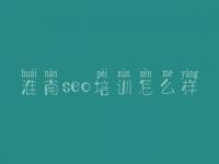 淮南seo培训怎么样 网络建设平台