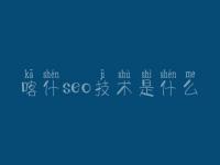 喀什seo技术是什么_seo优化学习