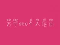 万宁seo个人培训，网站产品怎么优化