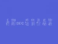 资阳seo培训价格表_关键词优化分析