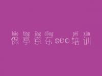 保亭京东seo培训，网站官网建设