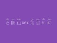 石嘴山seo培训时间 优化公司网站