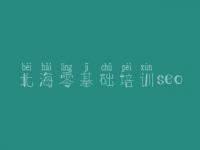 北海零基础培训seo 网站优化论坛