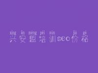 兴安盟培训seo价格_seo教程入门视频