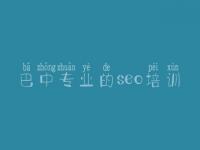 巴中专业的seo培训 整站网站优化