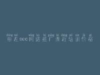 崇左seo网络推广课程培训价格 建设公司网页