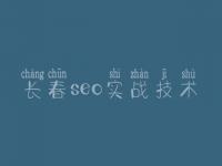 长春seo实战技术_企业网站优化公司