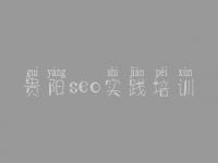 贵阳seo实践培训_seo实例教程视频