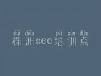 株洲seo培训点_单页seo教程