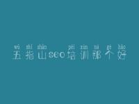 五指山seo培训那个好，淘宝seo培训教程