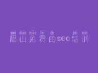 眉山免费的seo培训_seo优化技术教程