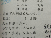 奇怪的近义词是什么词二年级(奇怪的近义词)