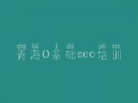 青海0基础seo培训 seo视频教程