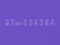 潮州seo培训有效果吗 seo高级视频教程
