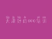天津好的seo培训_好的优化网站