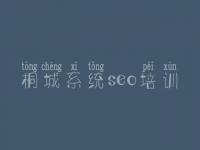 桐城系统seo培训，海安网站优化