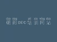 朝阳seo培训网站 新网站怎么优化